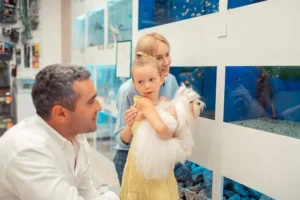 Expert verkoop & consultant