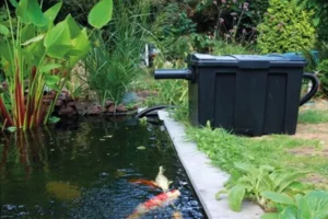 Vijvertechniek voor Gevorderden