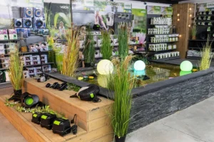 Vijverafdeling inrichten