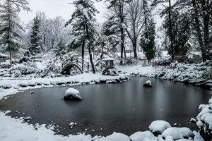 De vijver per seizoen